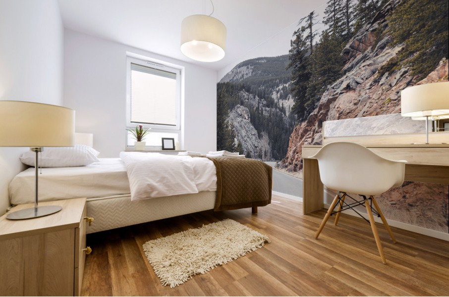 Mountain Road In Winter Mural print
