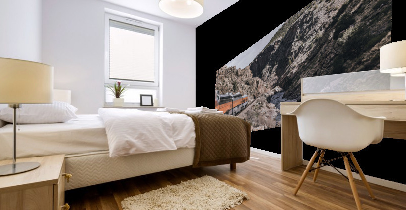 Train in the Mountains Mural print