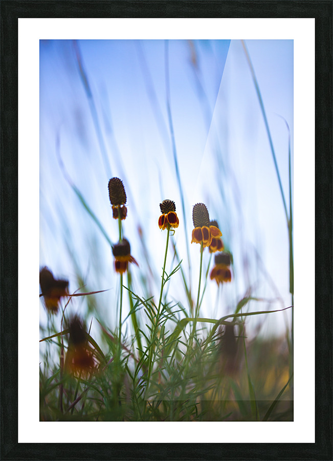Mexican Hat Picture Frame print