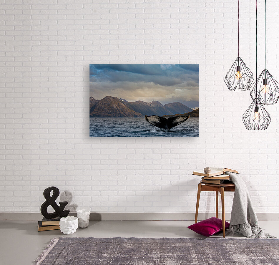 Whale Watching Reproduction