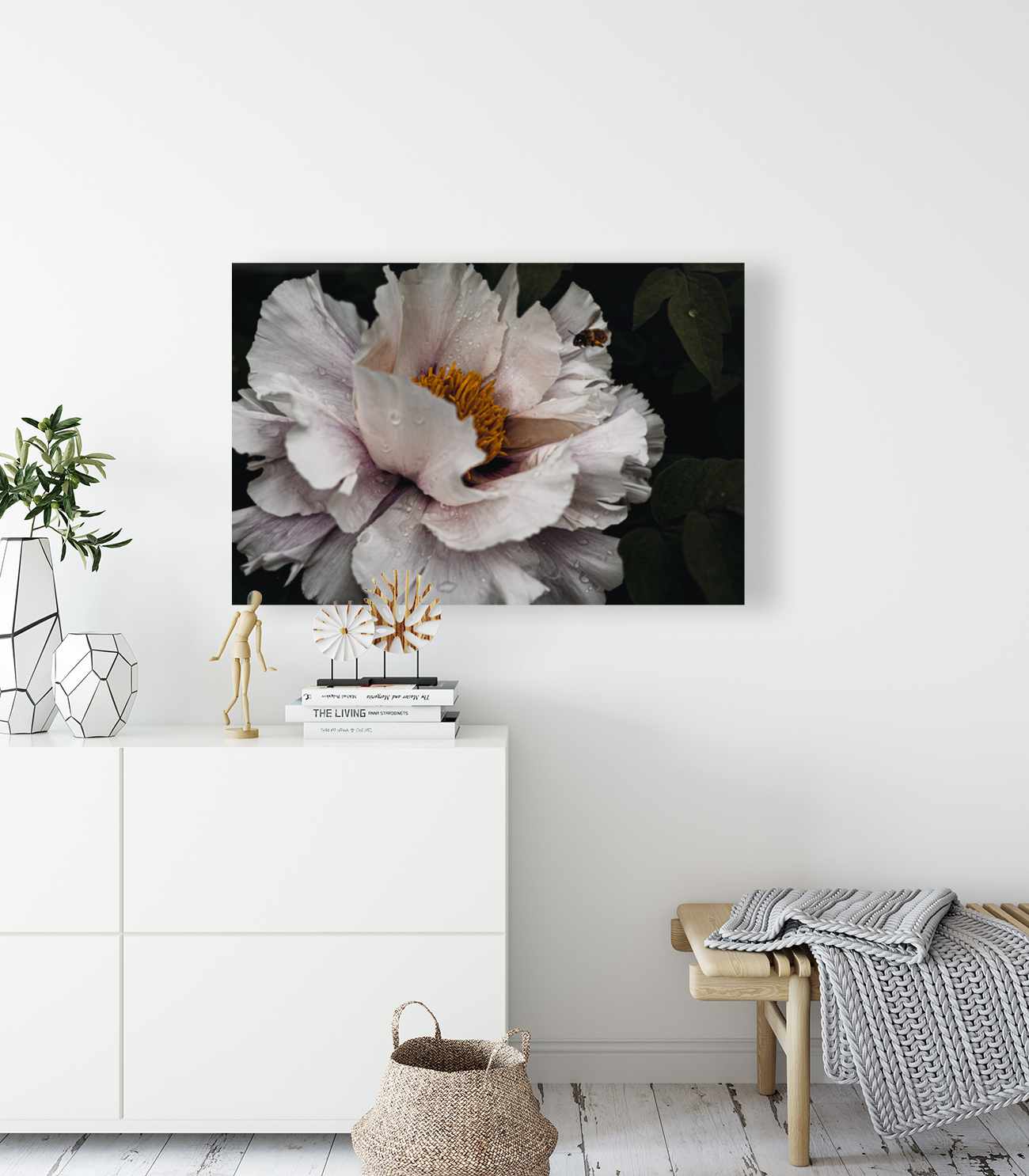 Common peony Reproduction