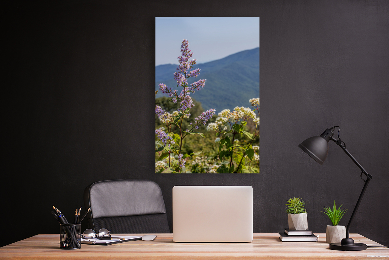 Mountain Lavenders Reproduction