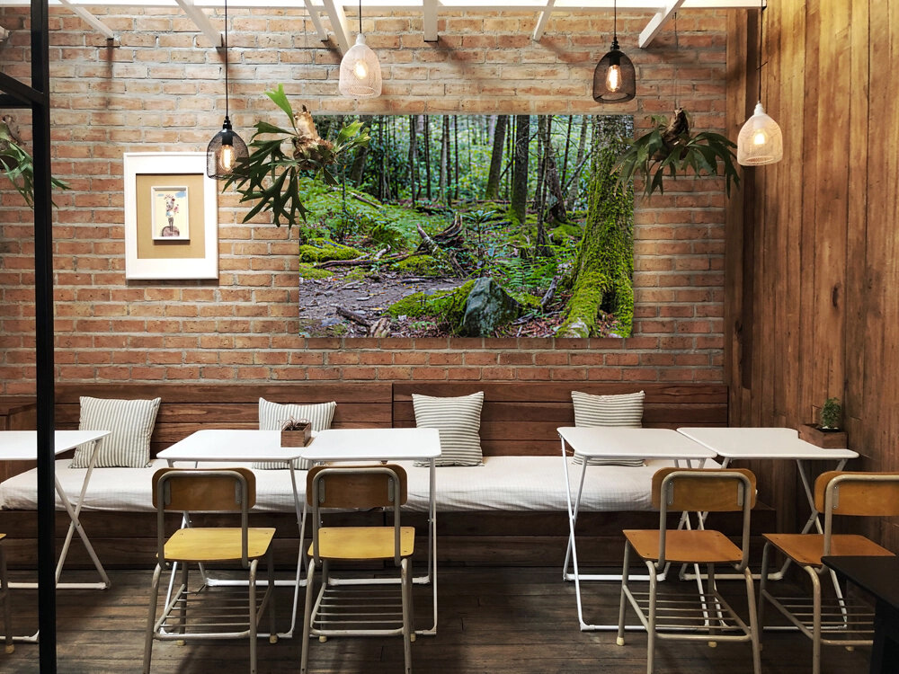 Tranquil Trails Reproduction