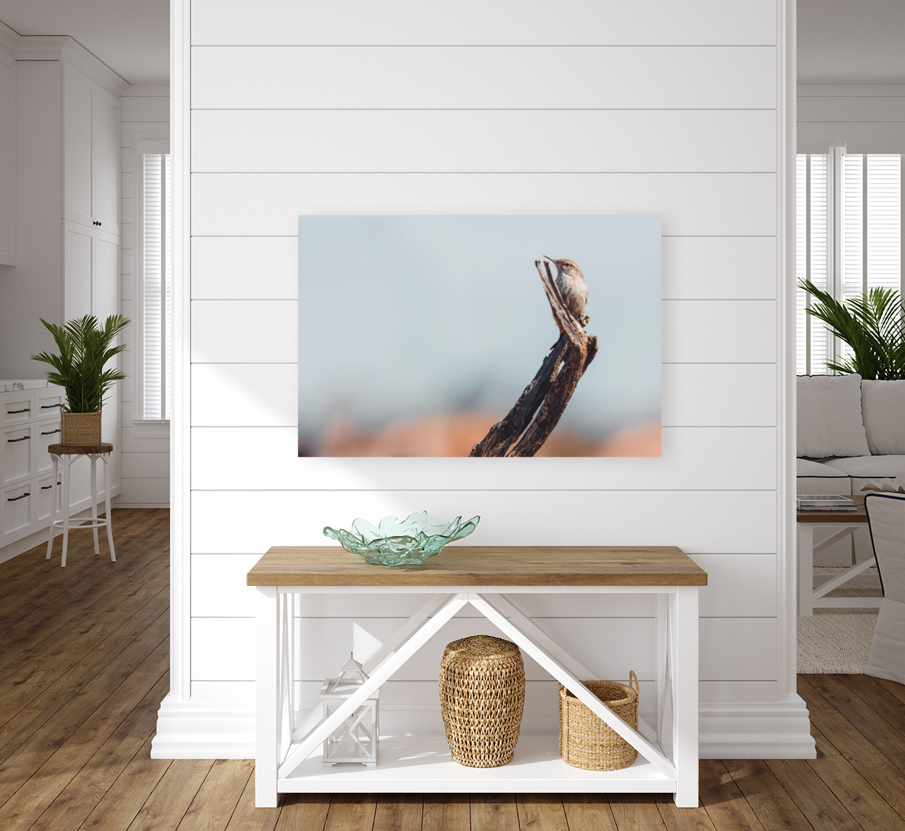 Rock Wren Reproduction