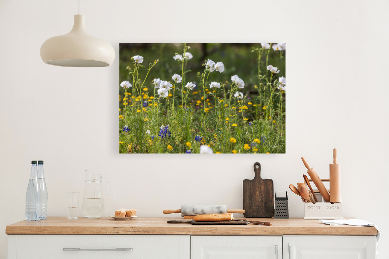 Native Texas Wildflowers Reproduction