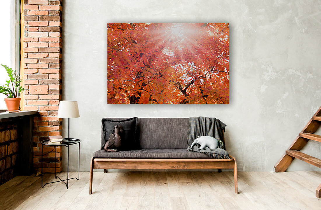 Suns Rays Through Fall Colors Reproduction