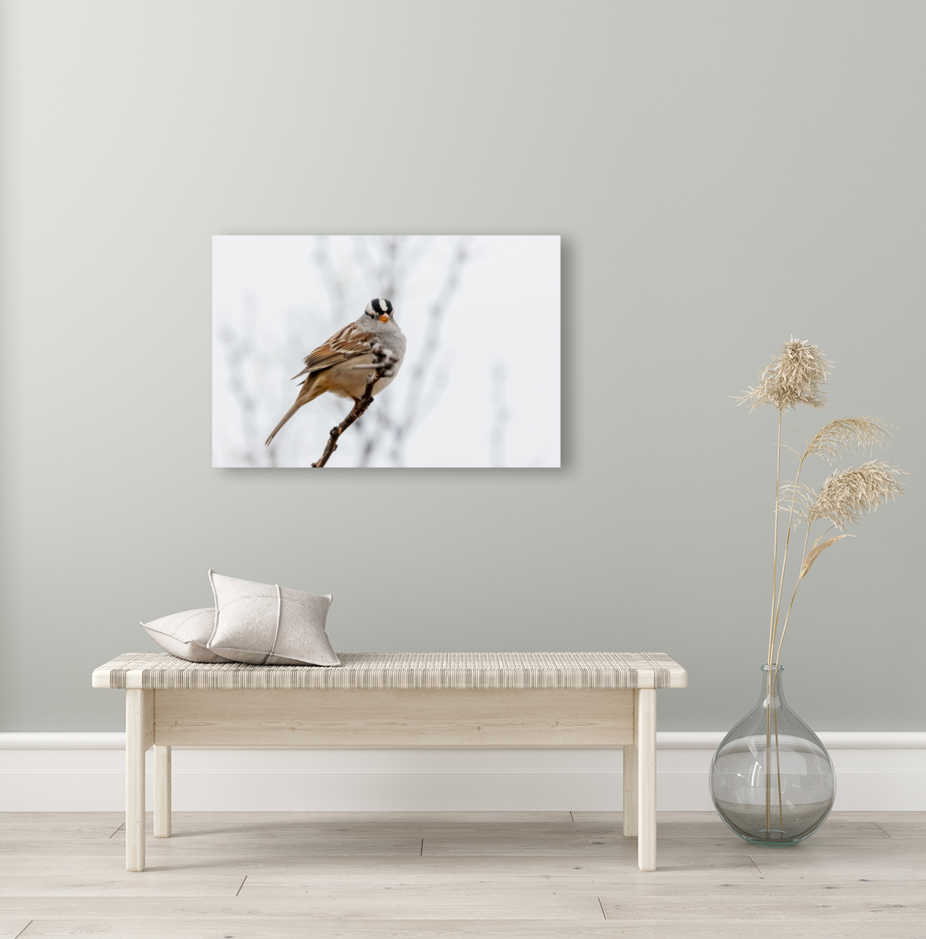 White Crowned Sparrow Reproduction