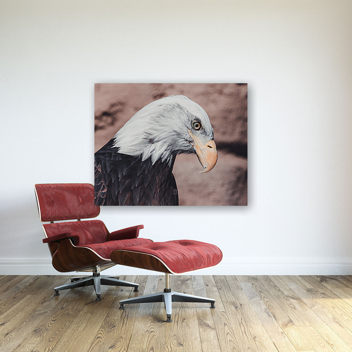 Bald Eagle Reproduction