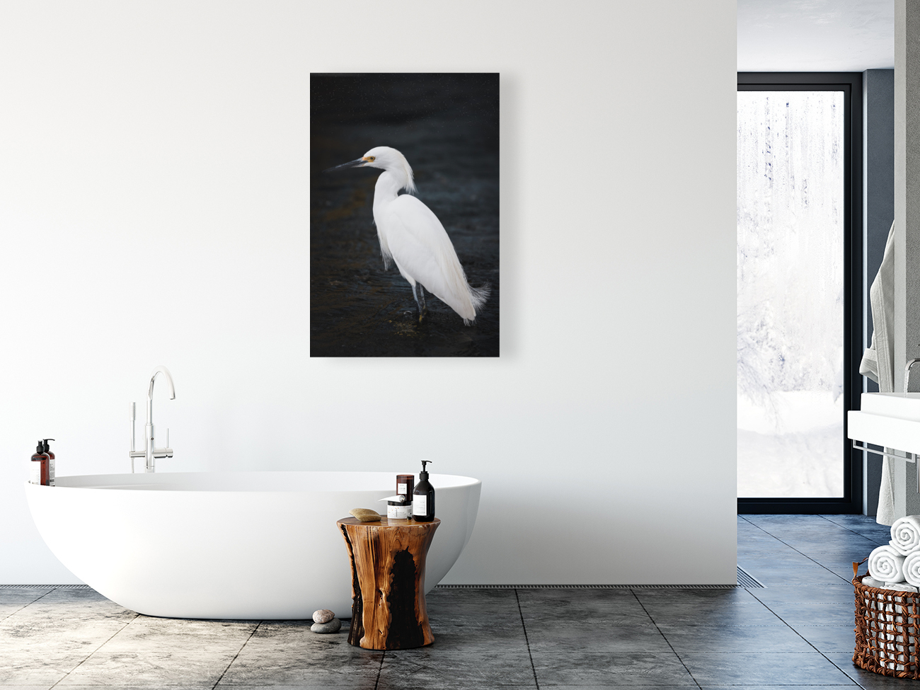 Snowy Egret Reproduction