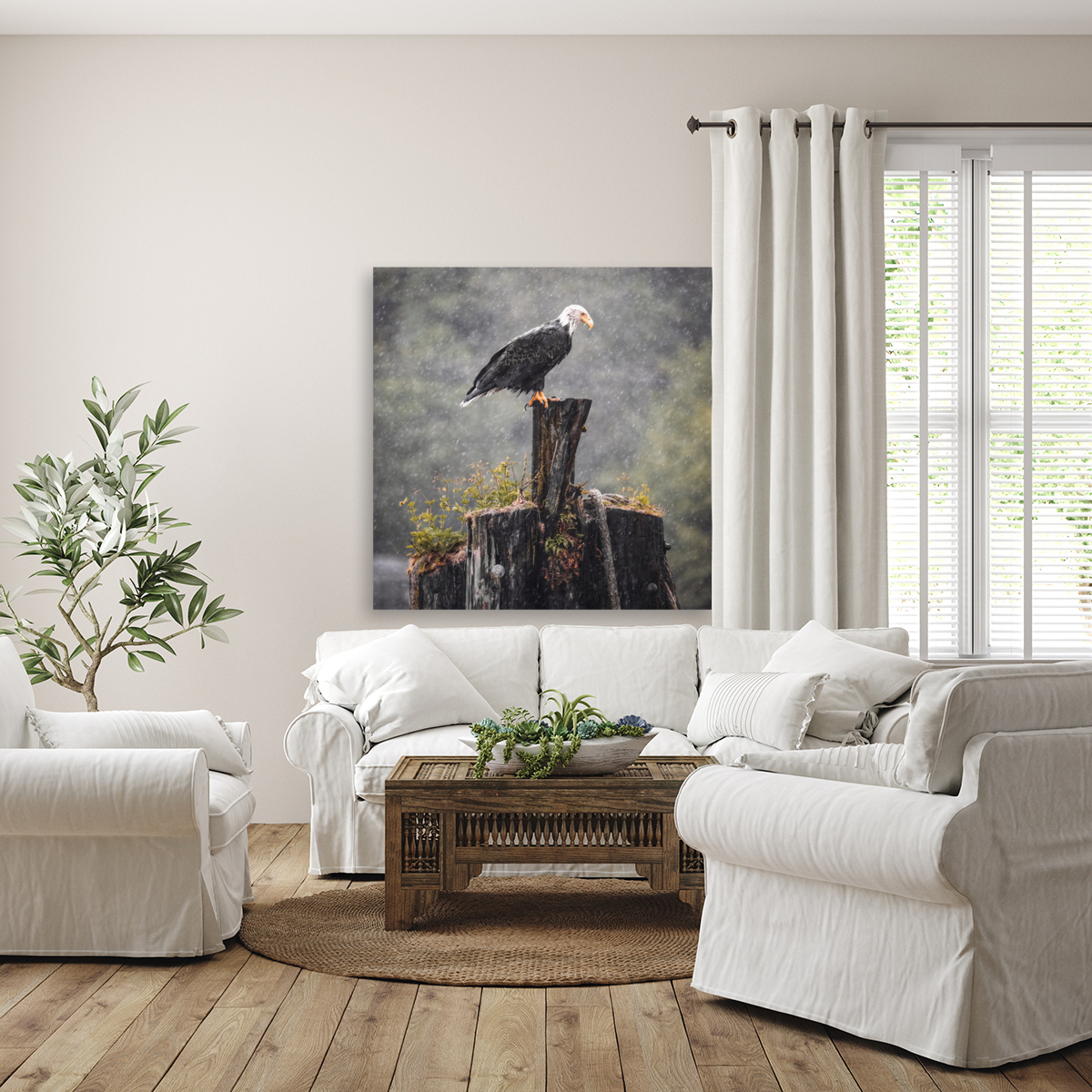 Bald Eagle in the Rain Reproduction