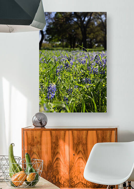 Texas Wildflowers in a Field of green Grass by Aperture Adventure Delaney Van
