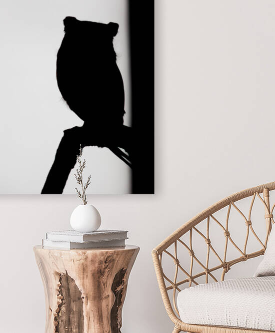 Black and White Screech Owl Silhouette  by Aperture Adventure Delaney Van