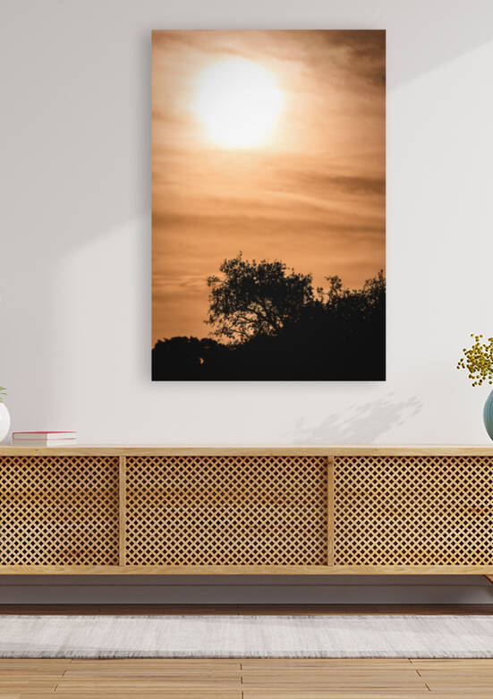 The Sun Rises On A Cloudy Morning by Aperture Adventure Delaney Van