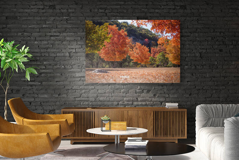 Lost Maples Trees turning fall colors by Aperture Adventure Delaney Van