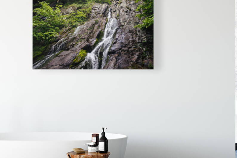 Cascading Falls Reproduction