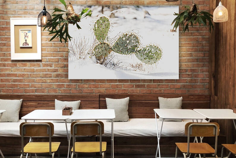 Prickly Pear Cactus Covered In Ice by Aperture Adventure Delaney Van