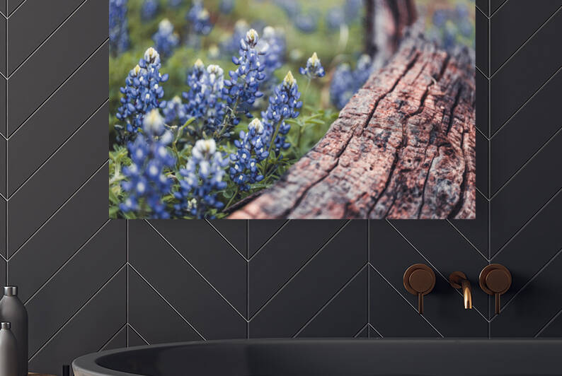 Bluebonnets and a log by Aperture Adventure Delaney Van