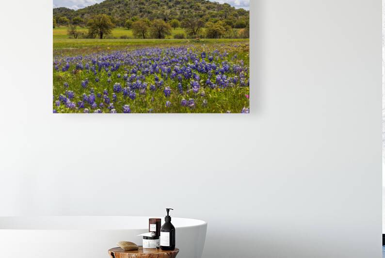 Bluebonnets and Mountains Outside Llano by Aperture Adventure Delaney Van