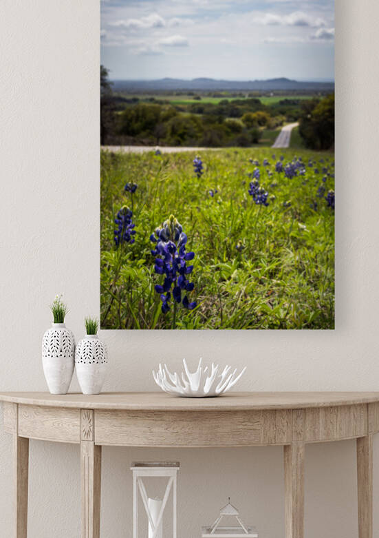 Bluebonnets on the highway In Cherokee  Texas by Aperture Adventure Delaney Van