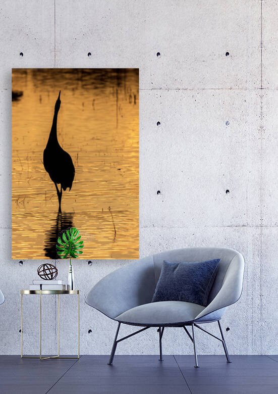 Golden Water and Sandhill Crane Silhouette by Aperture Adventure Delaney Van