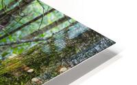 Tranquil Trails HD Metal print