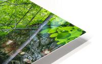 Doyles River Falls HD Metal print