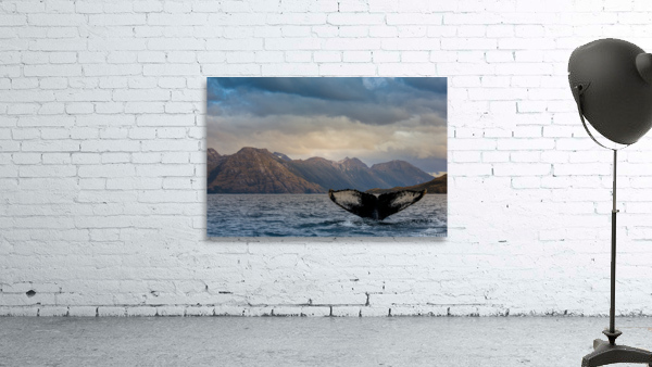 Whale Watching Wall Preview