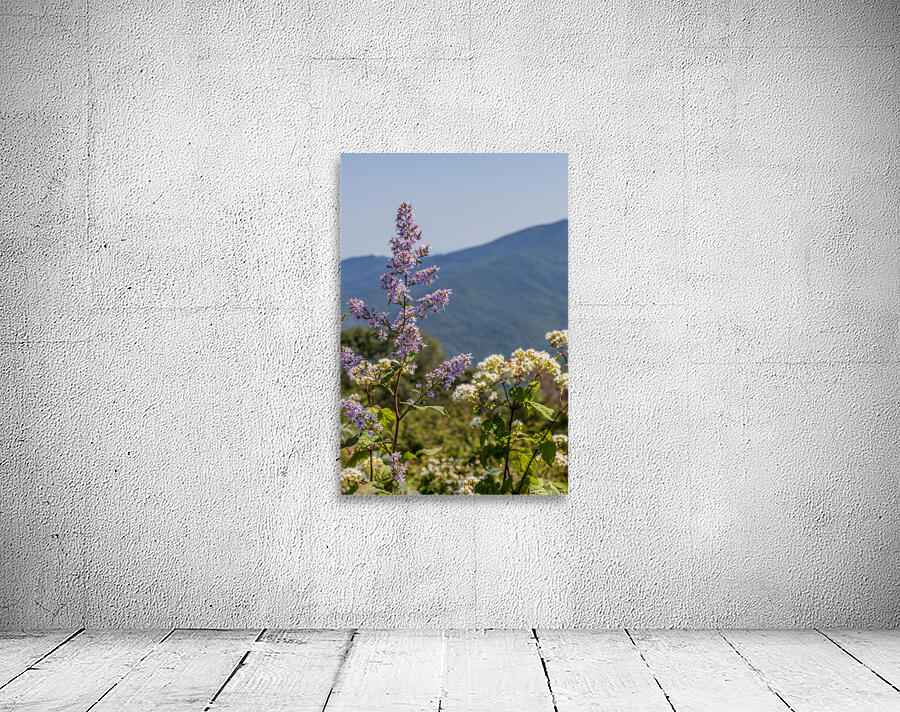 Mountain Lavenders Wall Preview