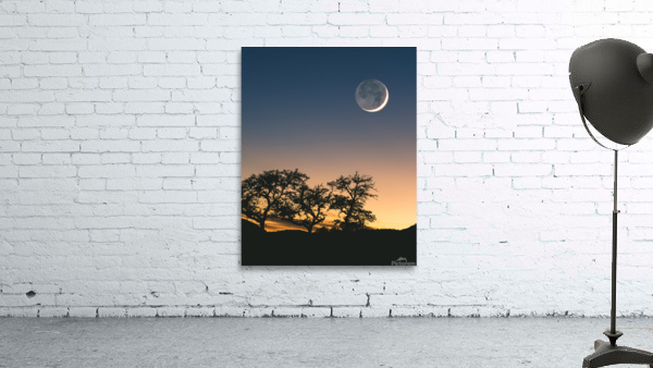 Moon Rising Over the Sunset Wall Preview