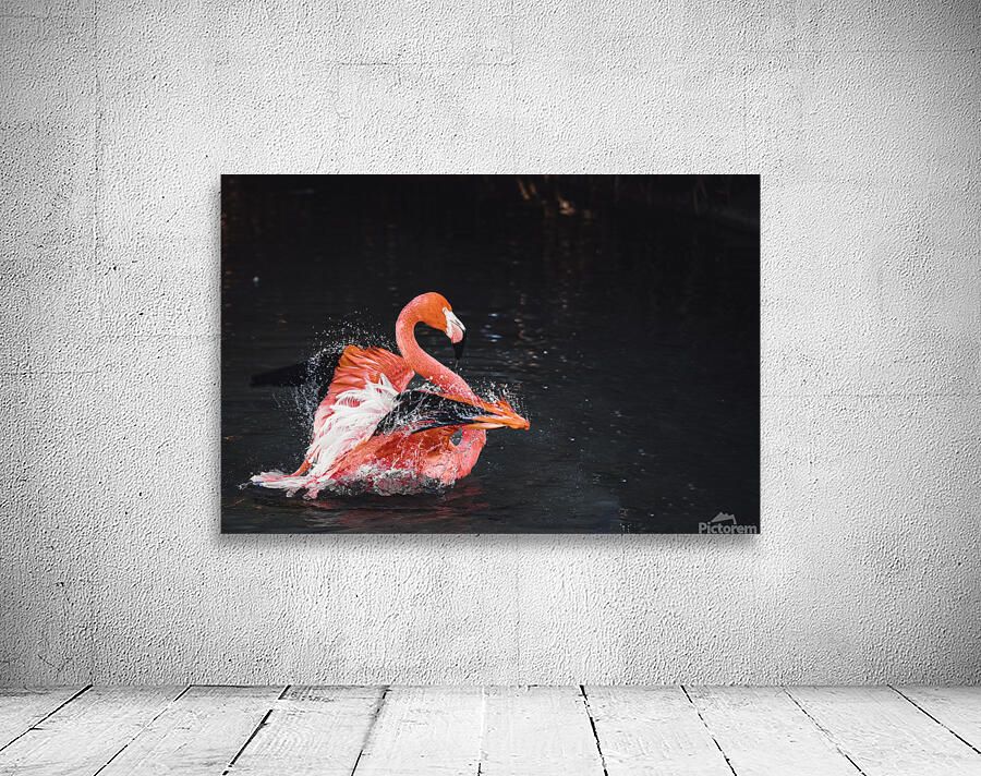 Vibrant Pink Flamingo Splashes In Water Wall Preview