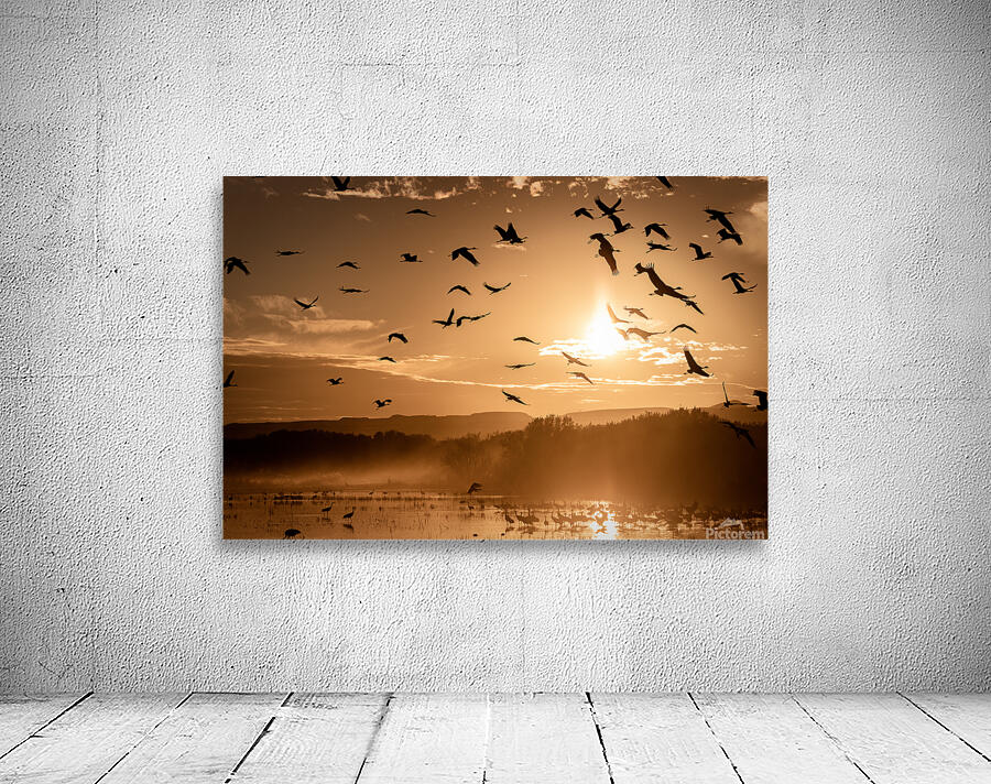 Cranes Flying At Sunset Wall Preview