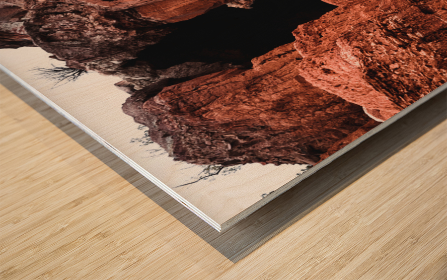 Juniper Cliffside Trail   Palo Duro Canyon Wood print