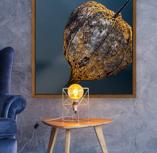 Still life of Japanese Lantern by BILAS