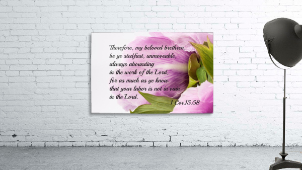 Be ye stedfast Wall Preview