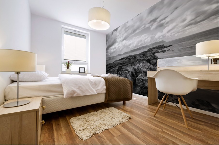 White Point  Mural print