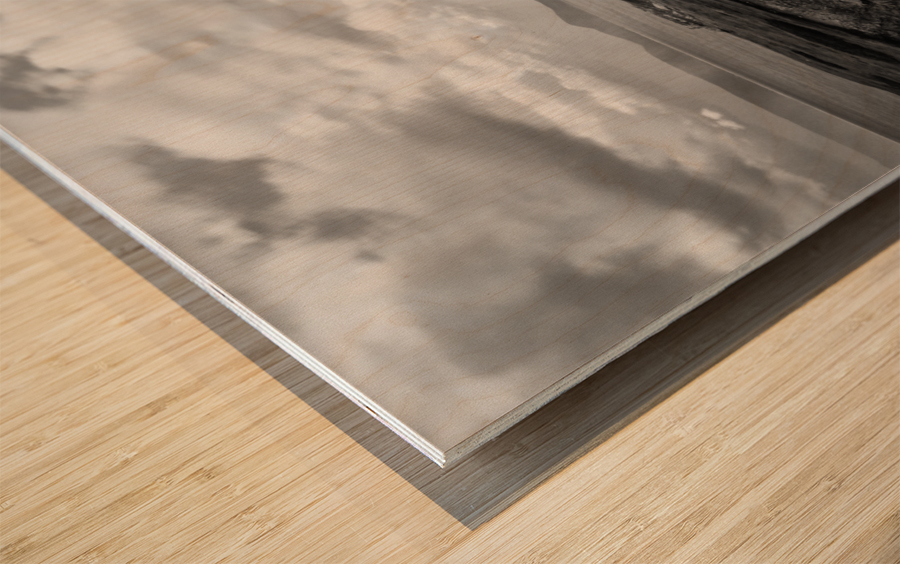 White Point  Wood print