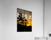 SUMMER DAZE Acrylic Print
