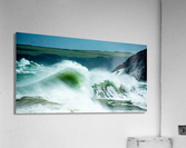 FIERCE Acrylic Print
