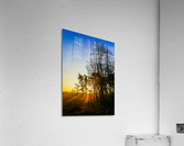 SHINNING THROUGH Acrylic Print