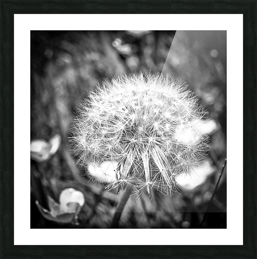 WISH Picture Frame print