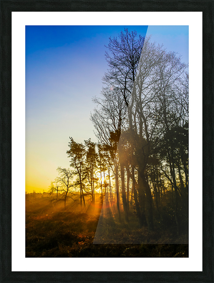 SHINNING THROUGH Picture Frame print