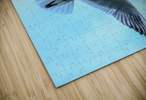 SOARING BVR Photography puzzle
