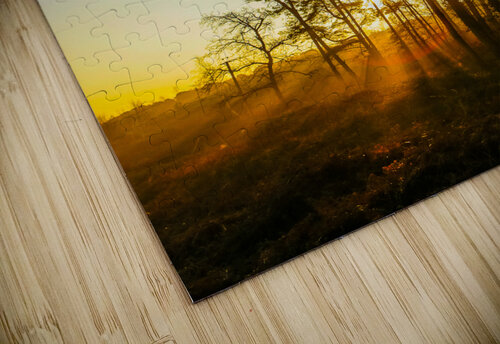 SHINNING THROUGH BVR Photography puzzle