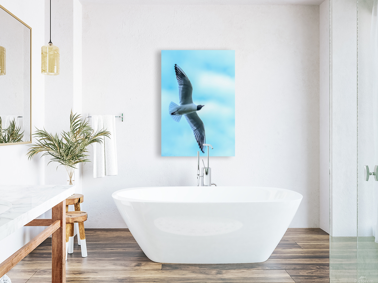 SOARING Reproduction