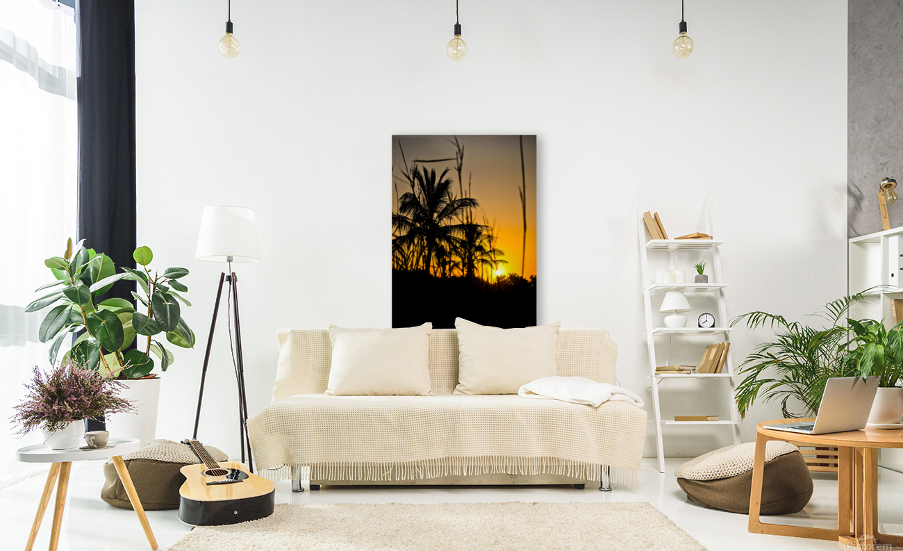 SUMMER DAZE Reproduction