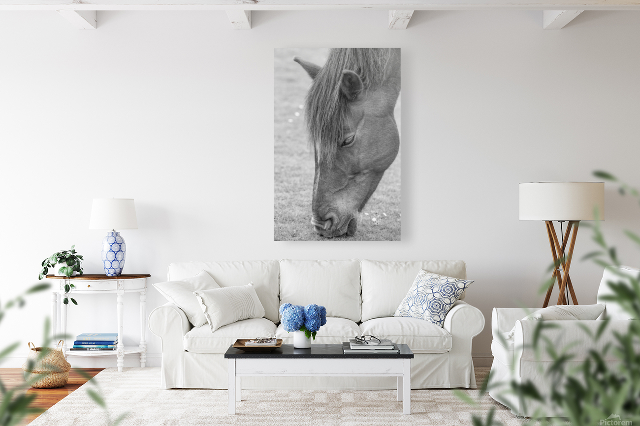 GRAZER Reproduction