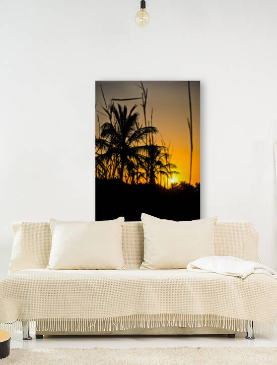 SUMMER DAZE by BVR Photography
