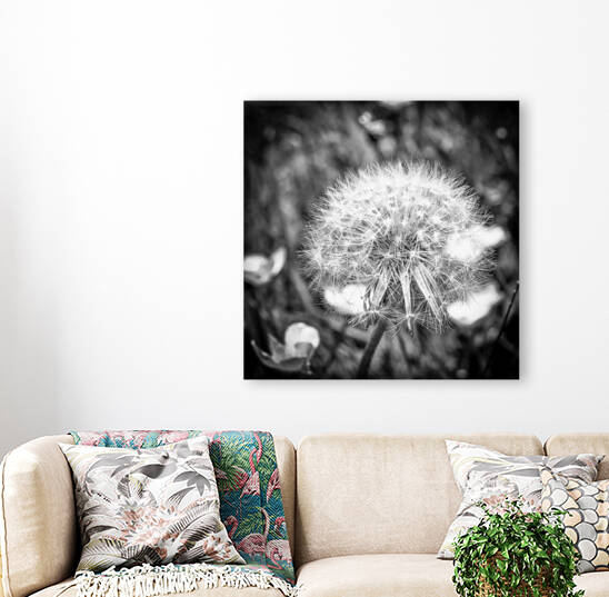 WISH by BVR Photography