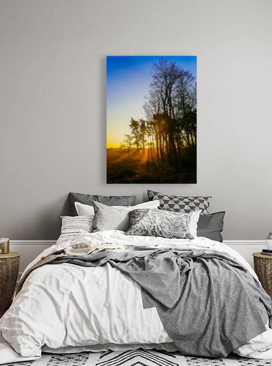 SHINNING THROUGH by BVR Photography