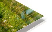 WHAT YOU LOOKING AT HD Metal print